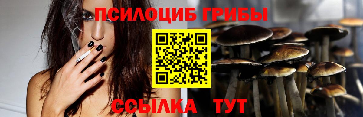 Ишим  Псилоцибиновые грибы прущие грибы  Вход с VPN 